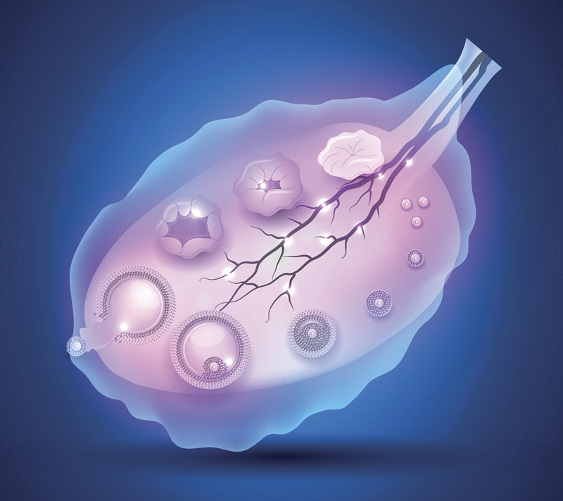 2026年到北京陆总第六医院做试管婴儿费用大概是多少？有费用表参考吗？
